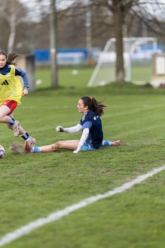 Bild 150 - wBJ Hamburger SV - Eimsbuettler TV : Ergebnis: 4:0